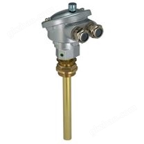 Messko溫度傳感器  Combi Well