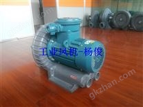 防爆漩渦氣泵/環(huán)形防爆高壓風(fēng)機(jī)