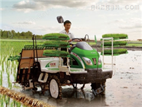 奇瑞谷王2ZGQ-6水稻插秧機(jī)