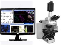 BD-6系列染色體核型分析系統(tǒng)