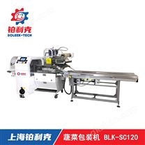 蔬菜包裝機(jī)BLK-SC120