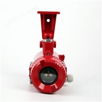 防爆雙波段紅外火焰探測器   HK6802A