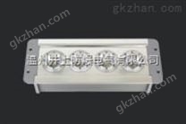 NFE9121LED應急照明燈防爆燈