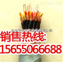 IA-DJYPVP計(jì)算機(jī)電纜